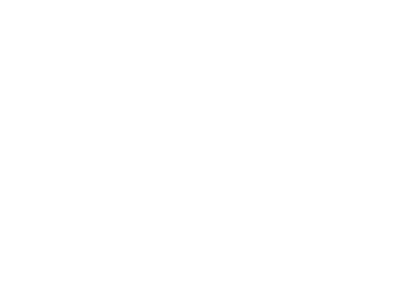 Logo PET-SI